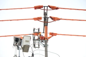 Tổng Công ty Điện lực miền Bắc thoái vốn tại một công ty liên kết