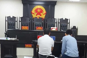 Cựu cán bộ địa chính 'biến' đất công thành đất nông nghiệp