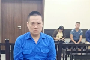 Dùng sổ hồng giả, lừa bán bất động sản chiếm đoạt hơn 11 tỉ đồng