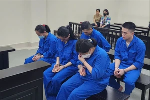 Tuyên án các bị cáo trong đường dây mua bán trẻ sơ sinh Hà Nội- TP.HCM 