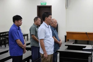 Cựu cán bộ xã vi phạm quản lý đất rừng phòng hộ ở Sóc Sơn lãnh án