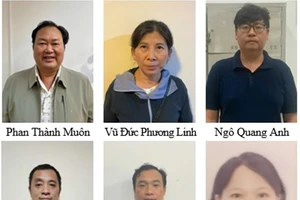 Truy tố Chủ tịch CTCP Tập đoàn Khoáng sản Đầu tư Hưng Thịnh vụ khai thác quặng titan trái phép