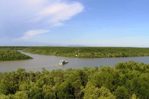 Hạn chế lưu thông trên tuyến sông Dinh Bà 2