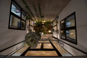 Ấn tượng với ngôi nhà phố liền kề nhưng lại rất... tách biệt