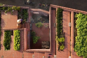 Mê mẩn với thiết kế vườn rau 7 bậc thang trên mái nhà