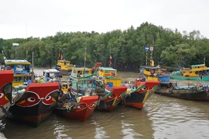 Sở GTVT nói về 4 vị trí làm cảng biển ở Cần Giờ