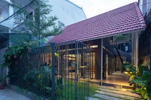 Khám phá ngôi nhà ống có vườn và nhà hòa làm một