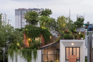 Ngắm căn nhà phố có cả 1 công viên cây xanh trên mái ở Sài Gòn