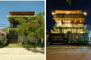 Ngôi nhà nổi bật với cây xanh phủ kín mặt tiền