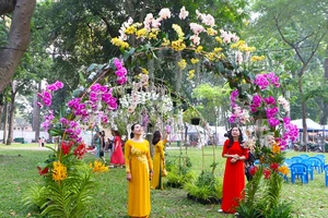 TP.HCM: Nhộn nhịp hội hoa xuân tết Nhâm dần 2022