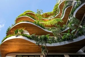 Choáng ngợp trước ngôi nhà hệt như rừng nhiệt đới giữa phố