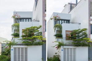 Ngôi nhà thiết kế như hình ruộng bậc thang ở Đà Nẵng