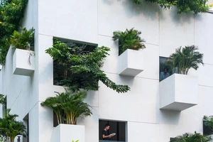 Ngôi nhà "biết thở" giữa lòng Sài Gòn