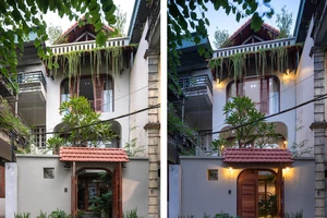 Cải tạo nhà phố cũ 3 tầng thành không gian xanh
