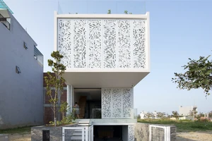 Biến mái nhà thành vườn rau trong mơ