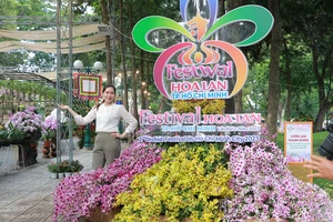 29.000 sản phẩm hội tụ tại Festival hoa lan ở TP.HCM