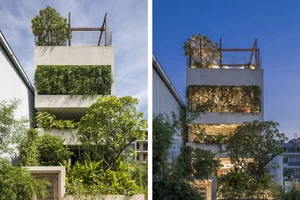 Ngôi nhà như khối bê tông xanh mướt ở TP.HCM