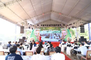 Đặc sắc lễ hội ẩm thực chay quận 7, TP.HCM