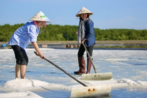 Phó Chủ tịch UBND TP.HCM: Làm du lịch phải giữ chân du khách ở lâu trong nước