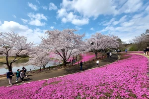 Nhật Bản muốn hút khách Việt giàu có 