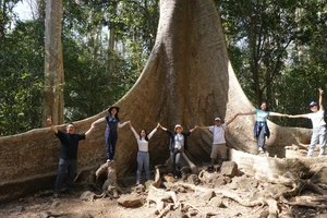 Cuối tuần, nhiều du khách chọn khám phá rừng Nam Cát Tiên