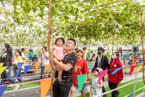 Kiến nghị nhiều giải pháp phát triển du lịch TP.HCM 