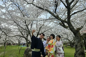 Người Việt đổ xô đi du lịch Nhật Bản vì lý do này