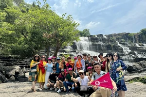 Hàng không, du lịch vào cao điểm hè