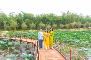 Phát triển du lịch xanh và trị liệu: Cần sự phối hợp đồng bộ