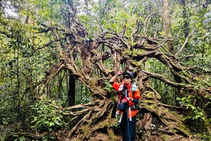 Giải mã việc ngày càng nhiều du khách bị lạc, mất tích... khi đi du lịch trải nghiệm