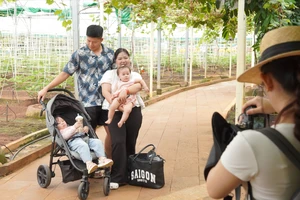 Không cần đi xa, người dân chọn vui chơi tại TP.HCM dịp lễ 2-9