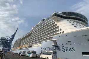 Cảng ở TP.HCM ngưng tiếp nhận tàu biển du lịch quốc tế, doanh nghiệp đứng ngồi không yên