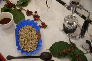 Lần đầu Lâm Đồng tổ chức lễ hội di sản cà phê toàn cầu