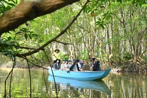 Hết thời 'ốc đảo', Cần Giờ trở thành trung tâm du lịch mới của TP.HCM