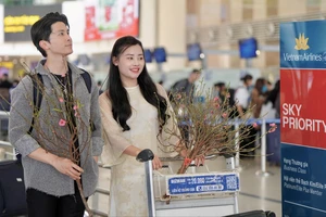 Giá vé máy bay Tết tăng cao, nhiều gia đình 'quay xe'