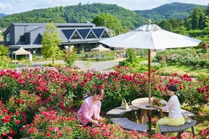 Còn dư địa lớn để thúc đẩy tour đến Nhật Bản