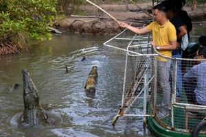 Du lịch Việt Nam bứt tốc, TP.HCM tìm động lực tăng trưởng mới