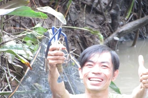 Thú vị với cảnh dỡ chà ăn Tết ở miền Tây