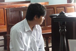 Môi giới làm chứng chỉ, bằng cấp giả không được giảm án