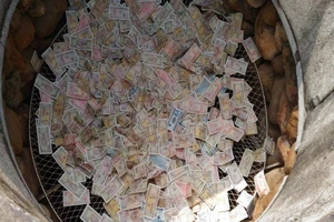 Lại rải tiền lẻ xuống giếng Ngọc 700 năm tuổi