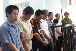 Băng siêu trộm miền Tây được hưởng lợi từ quy định mới