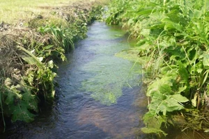 Thua kiện chủ đầu tư vì đòi nguồn nước tưới cây