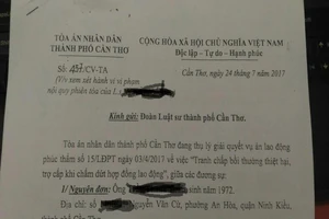 Tạm đình chỉ 12 tháng luật sư vu khống tòa