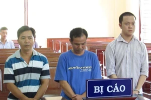 Bênh mẹ vợ, con rể lãnh án tù