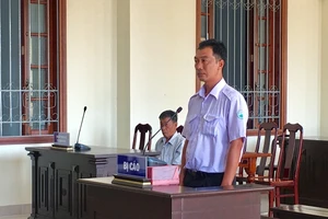 Mua bằng đại học dược giả để kinh doanh nhà thuốc