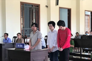 Uống rượu, xài ma túy, gây gổ và án mạng