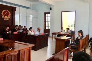 Hoãn phúc thẩm vụ ca sĩ Nhật Kim Anh giành quyền nuôi con