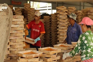 Công ty xin thuê đất tiếp, Sở TN&MT đẩy trách nhiệm lên Bộ