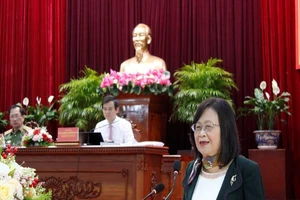 ‘Chúng ta chưa có tư duy về tuần hoàn trồng và bảo vệ rừng’