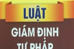 Bị bác yêu cầu bồi thường vì chọn giám định không đúng 